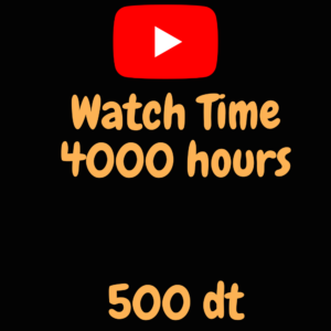 Youtube Watch Time 4000 hours