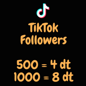 TikTok Followers